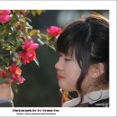 동백아가씨 이미지