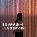 독플래닛 | 직접 다녀온 도쿄 팀랩 플래닛 후기! 예약, 근처 맛집까지