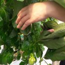 새말농장 이미지