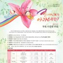 조이홈패션 네이버블로그