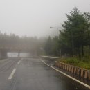 삼봉산장