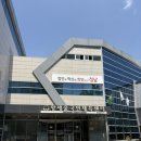 황새울국민체육센터 | 황새울국민체육센터 주말 자유수영 후기(분당 자유수영/진우키 우동)