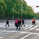 두류공원로 이미지