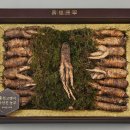 더덕이네 이미지