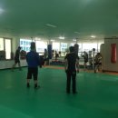 포항프라임복싱클럽 이미지