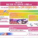 주식회사 레드펄 이미지