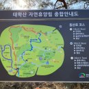 태학산자연휴양림 잔디광장 네이버블로그