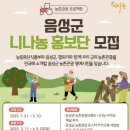 나농