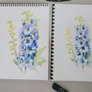 색연필화A 이미지