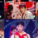 제로베이스 태권도 이미지