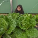 성북초교 병설유치원 이미지