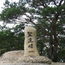문의IC(상주) Daum카페