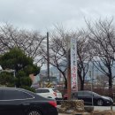 유로메디케어 이미지