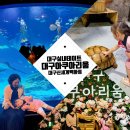 안양시민과 함께하는 우리음악 놀판-동심 | 대구가볼만한곳/대구아쿠아리움/동대구역,대구실내 아이랑 갈만한 곳 ft.6살후기