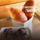 칠암사계 | 부산 기장 소금빵 맛집으로 유명한 기장애견동반카페 "칠암사계" 솔직 후기