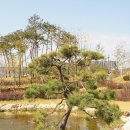 석남완충녹지공원 이미지