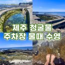 스코리아(청굴물) | 제주 김녕 청굴물 주차장 물때 수영 스노쿨링