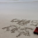 에메랄드빛 월정리 해변, 분위기 좋은 모래비카페 【제주 여행/ 제주 가볼만한 곳/제주 2박3일여행】 이미지