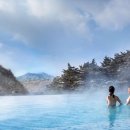 포레스트리솜 이미지