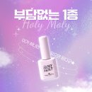 핑크홀리 이미지