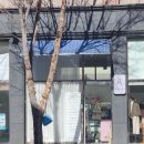 세라뷰티살롱