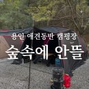 숲속에 안뜰 | 용인 애견동반 캠핑장, 숲속에안뜰 (사이트추천, 시설 후기)