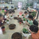 영천초등학교병설유치원 이미지