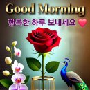 Isla Grant - Sings 5/Holidays - Polnareff / I will wait for you - 1964 외 2 이미지