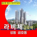 금호역 라비체 아파트 금호동 신규 주택공급 위치 타입 가격 문의 대표번호 주택 홍보관 방문 사전예약 안내 이미지