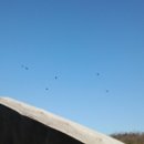 아부지농장 이미지