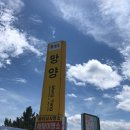 망양제일주유소 이미지