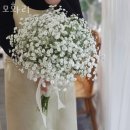 모화리