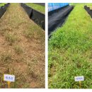 순창군농업기술센터 이미지