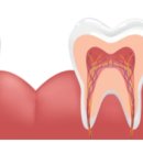 김태우치과의원 이미지
