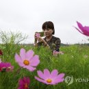 가을;담다