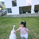 “원주 아이랑 가기 좋은 카페, 강아지까지 반겨주는 도즈오프”(솔직후기+방문팁)