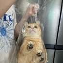 키이로 - 해운대구 송정중앙로36번길 22 | 키이로