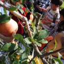 청송유치원 이미지