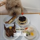 보람비즈니스프라자 | 계양구청 강아지 수제간식 맛집 까까시몽 쿠팡이츠 배민 배달가능