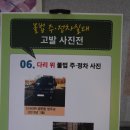 주정차단속-42 이미지