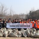 웰리힐리파크 이미지