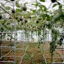 신선농장 이미지