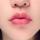 밥달라개 | 더 벨벳 16 하트백만개 + 에어리 벨벳 29 30 겨울쿨톤 솔직 후기 — 밥 먹고도 살아남은 착색력 실화예요
