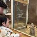 롯데쇼핑(주) 롯데마트 금천점 | [금천 실내동물원] 쥬라리움 금천점 11개월 내돈내산 후기, 할인꿀팁