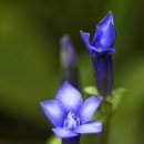 한국1호 이미지