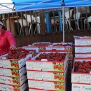 아라주는딸기영농조합법인 이미지