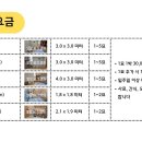 노라조 야옹아 이미지
