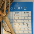 포차오야우동