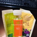 팜듀참선진녹즙