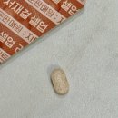 분홍지니 손톱 | 영양제 추천 / 푸드팝스 서재걸 리포좀 글루타치온 복용 후기 셀업 글루타치온, 리포좀글루타치온 추천